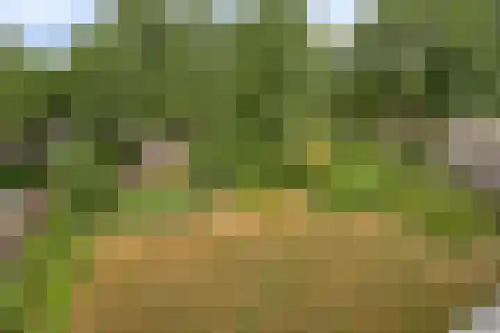 De Smelen 83 Valkenswaard thumbnail 18