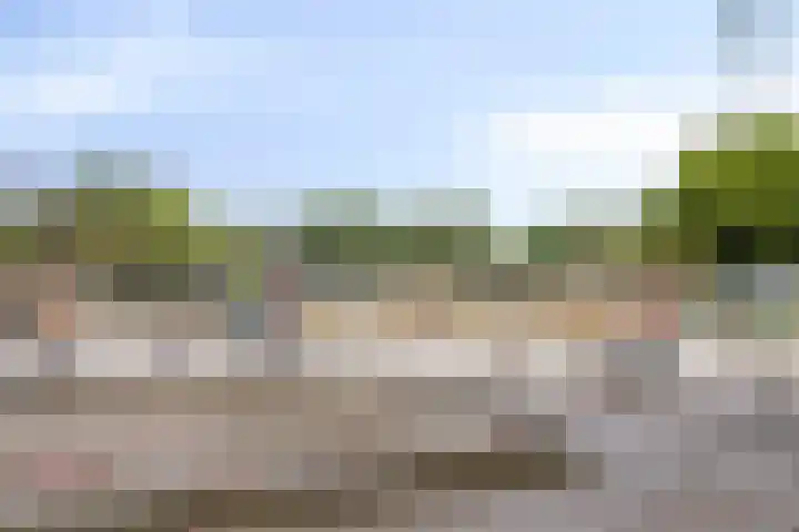 De Smelen 83 Valkenswaard thumbnail 25
