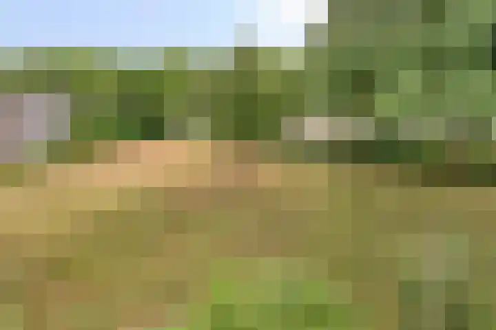 De Smelen 83 Valkenswaard thumbnail 9