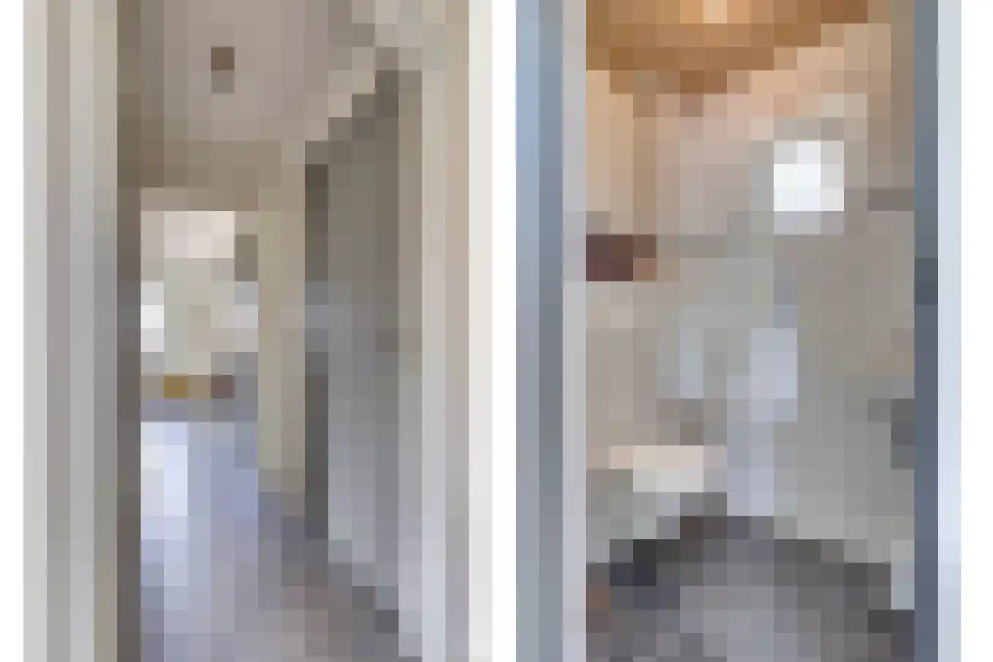 De Smeule 5 Nieuwleusen thumbnail 10
