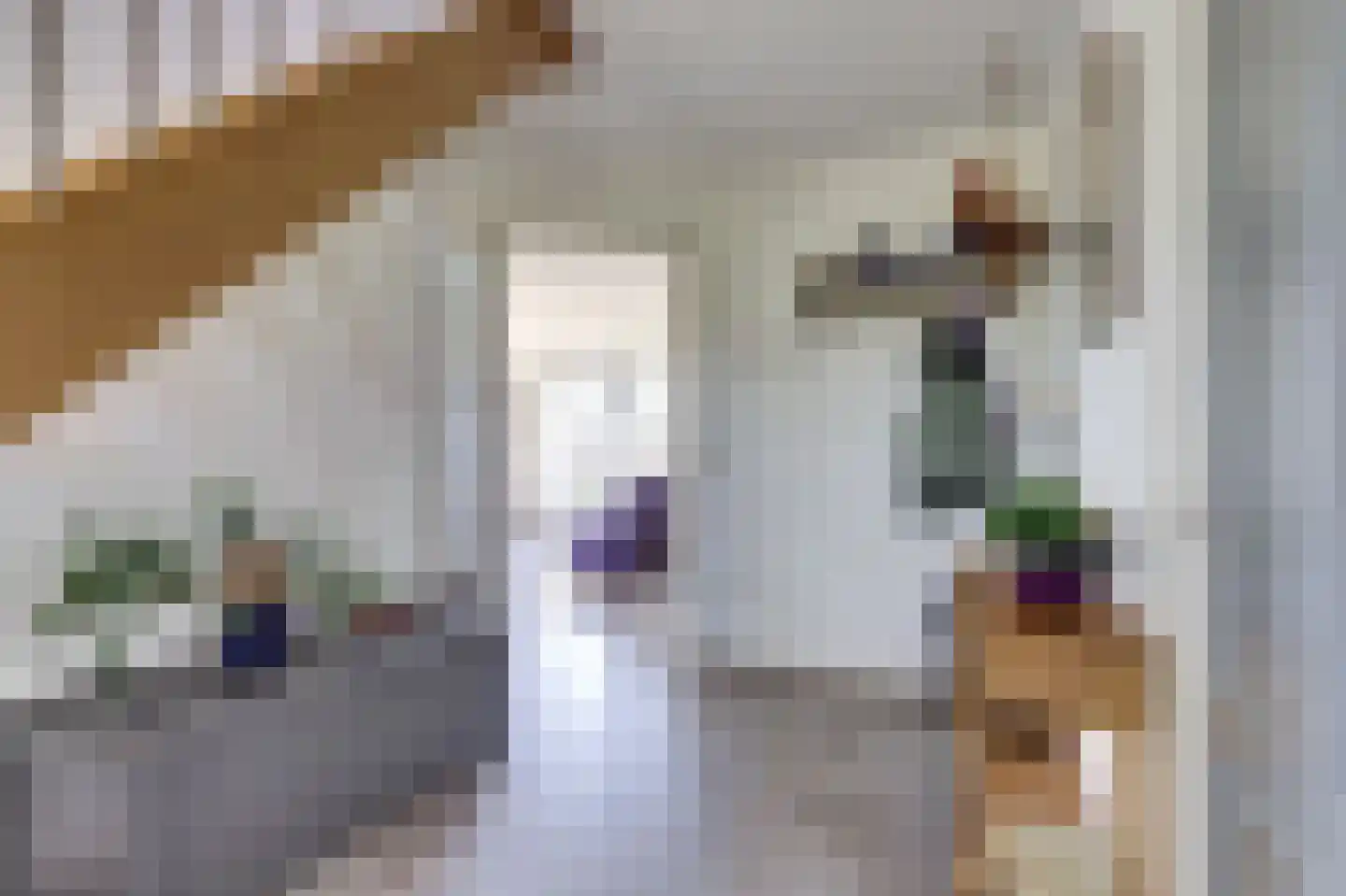 De Smeule 5 Nieuwleusen thumbnail 11