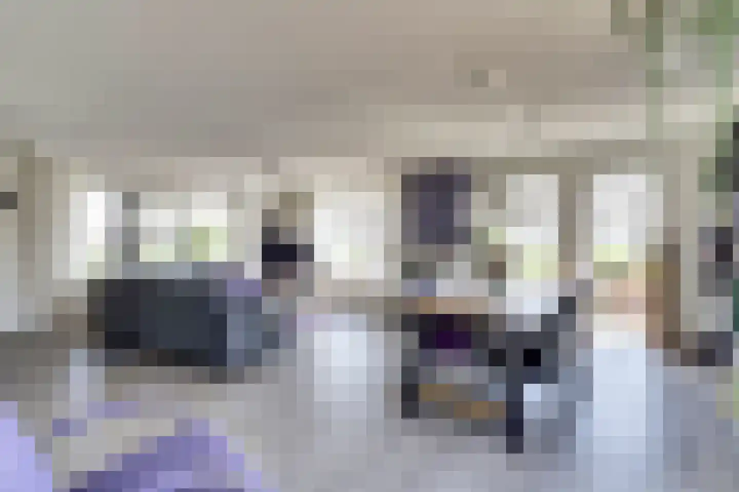De Smeule 5 Nieuwleusen thumbnail 13