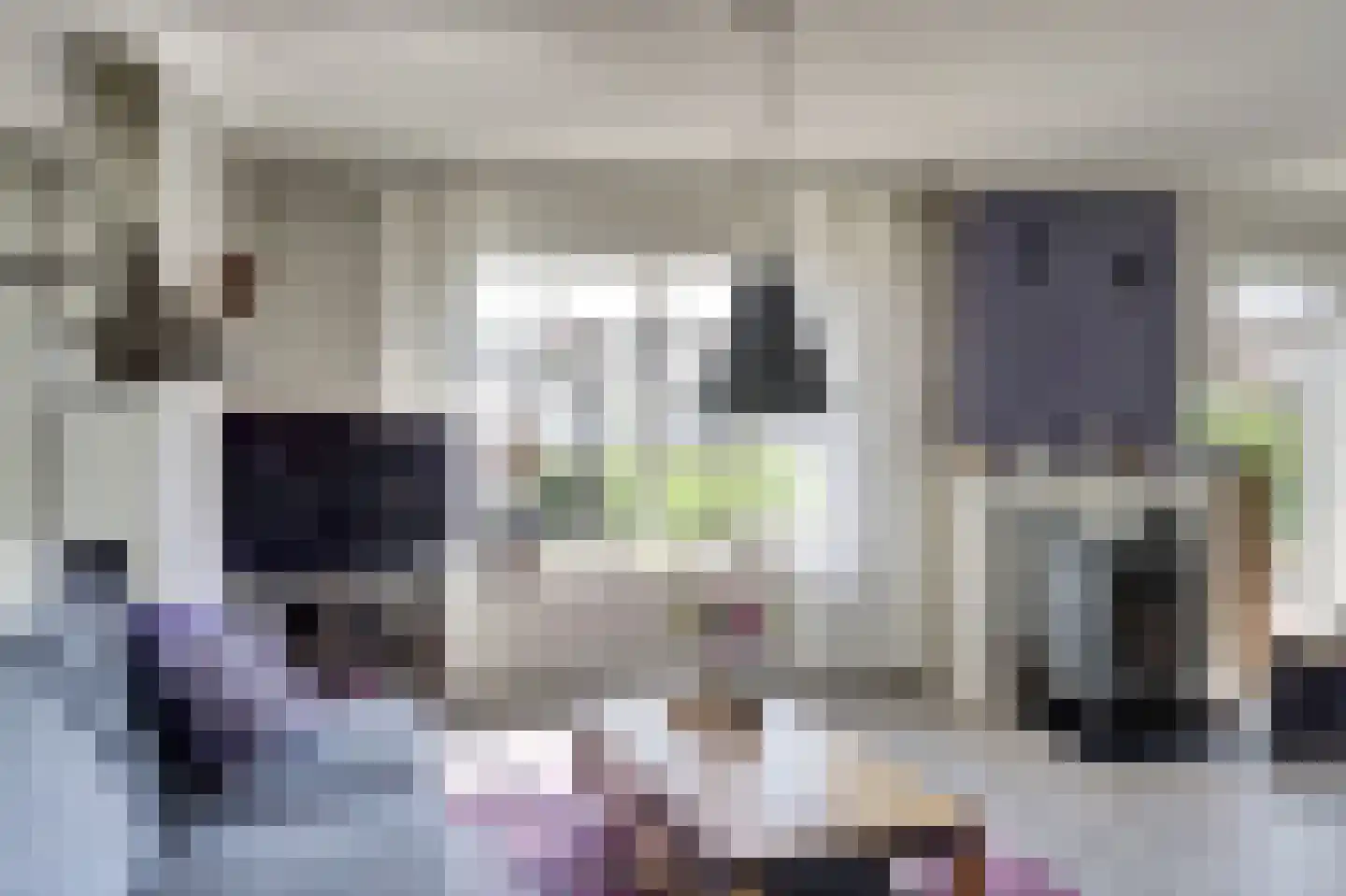 De Smeule 5 Nieuwleusen thumbnail 15