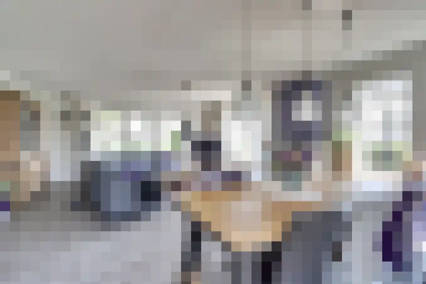 De Smeule 5 Nieuwleusen thumbnail 17