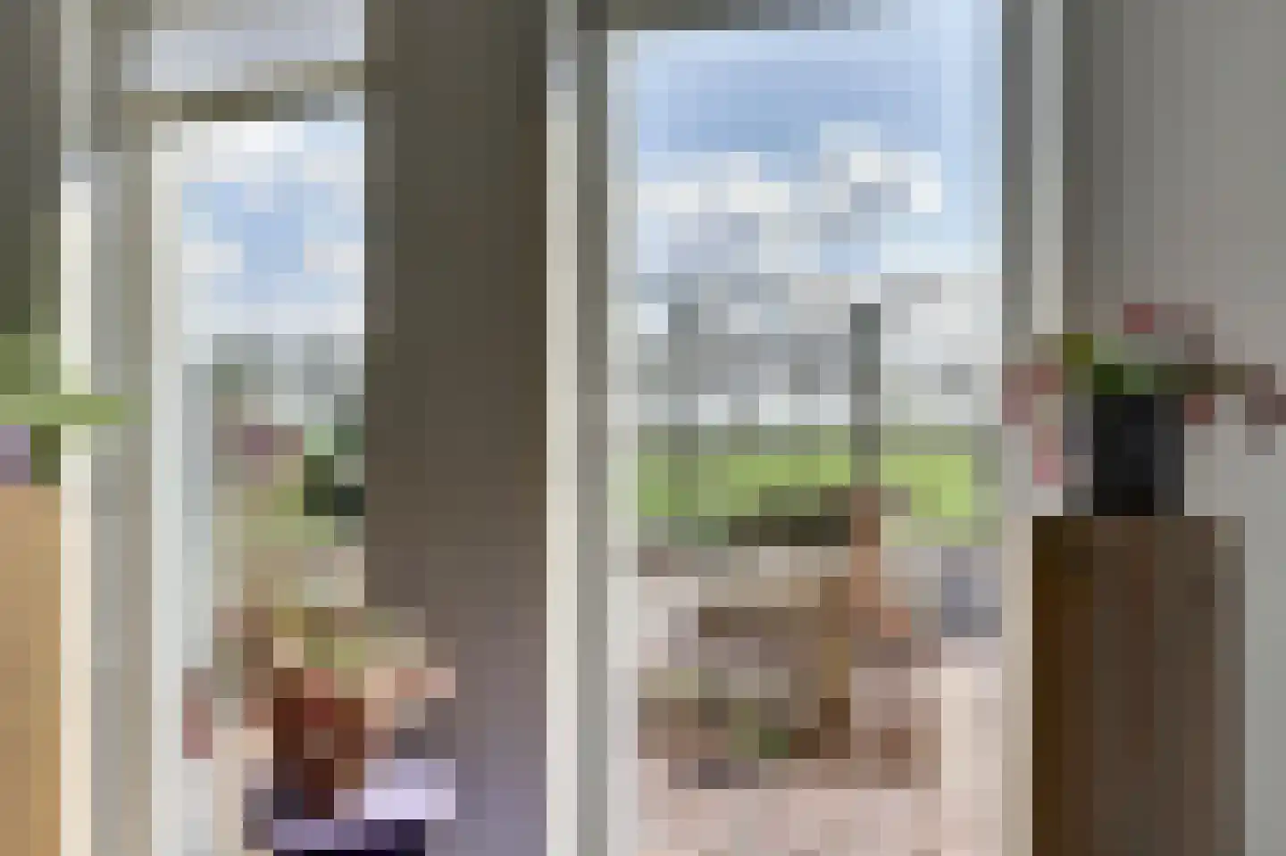 De Smeule 5 Nieuwleusen thumbnail 18