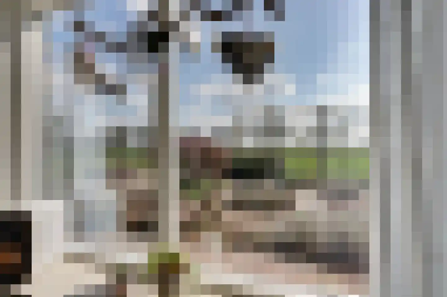 De Smeule 5 Nieuwleusen thumbnail 20