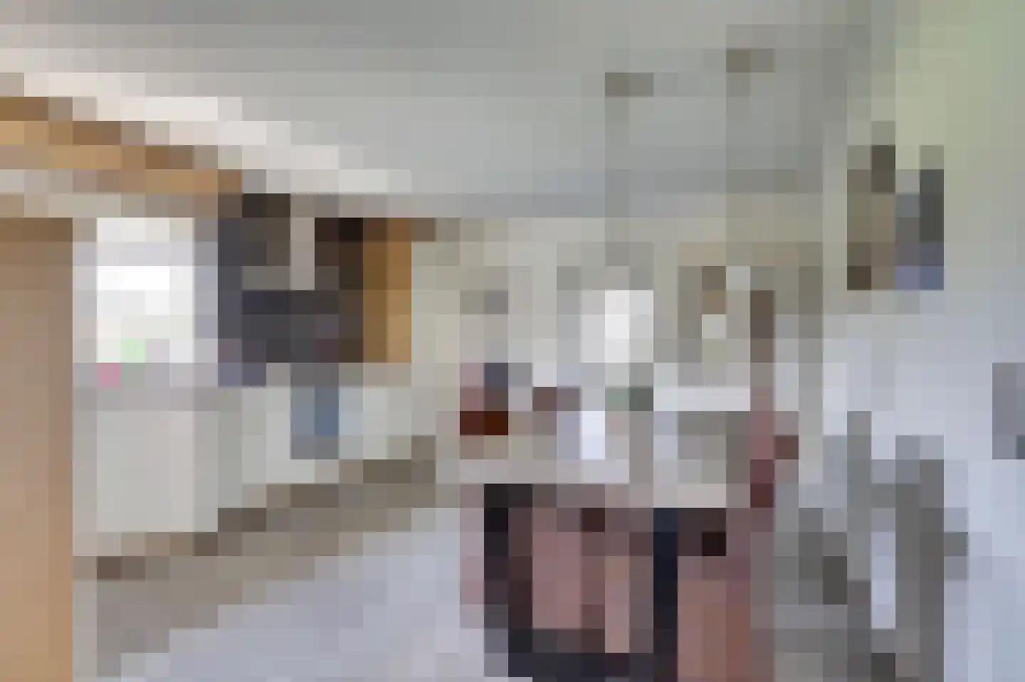 De Smeule 5 Nieuwleusen thumbnail 21