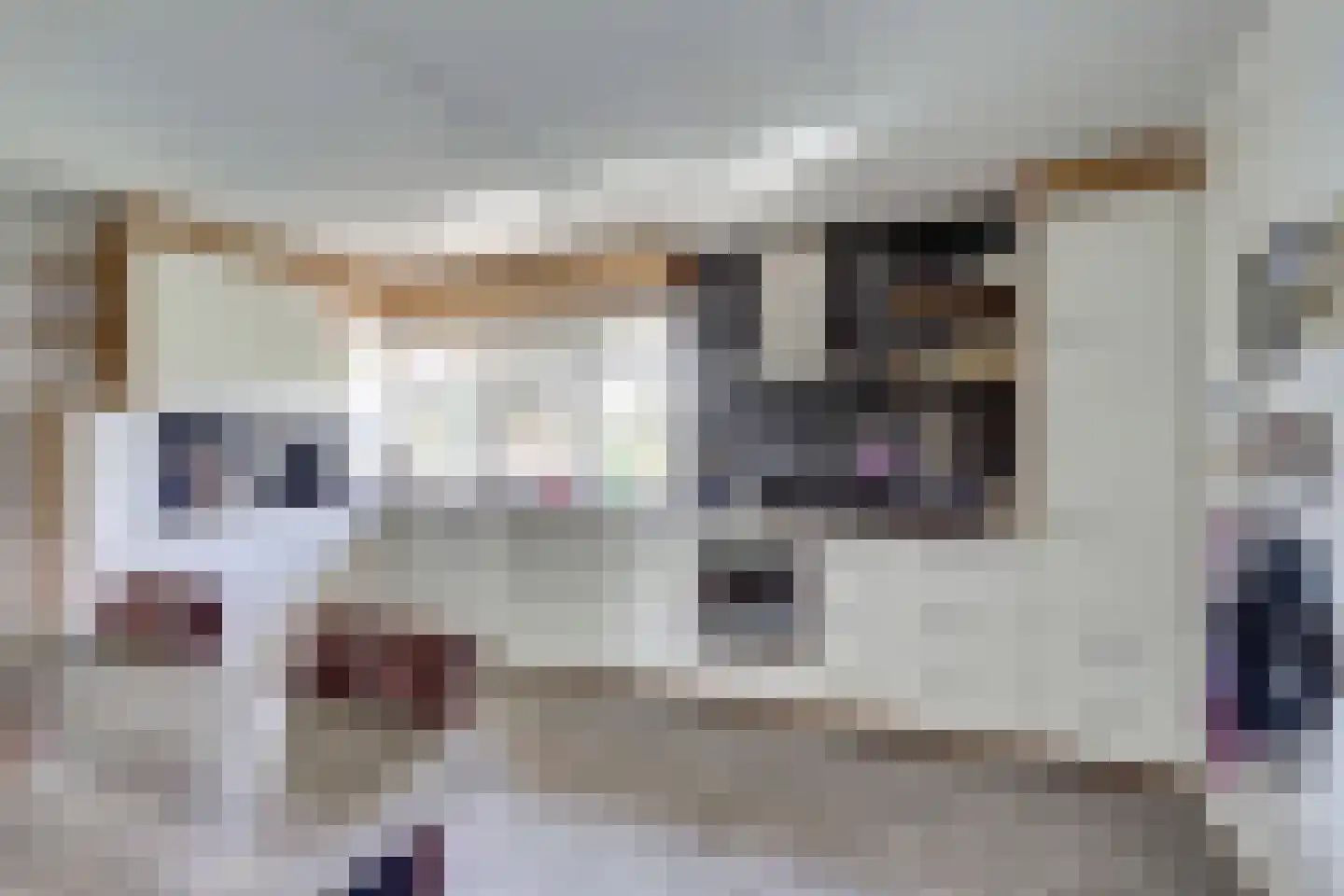 De Smeule 5 Nieuwleusen thumbnail 23