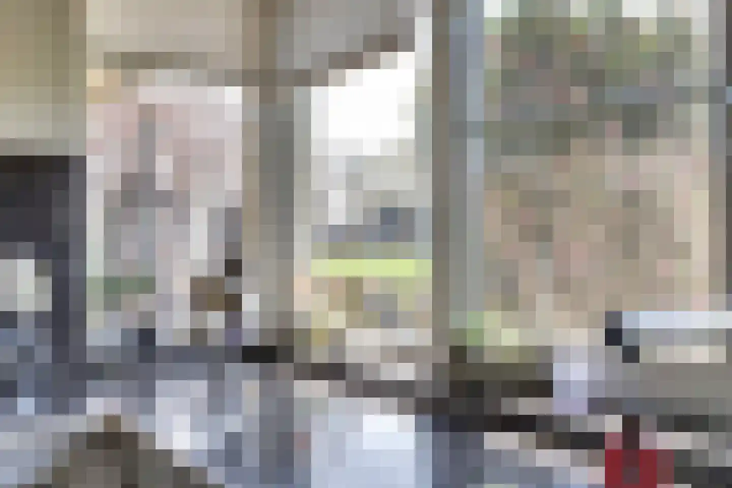 De Smeule 5 Nieuwleusen thumbnail 24