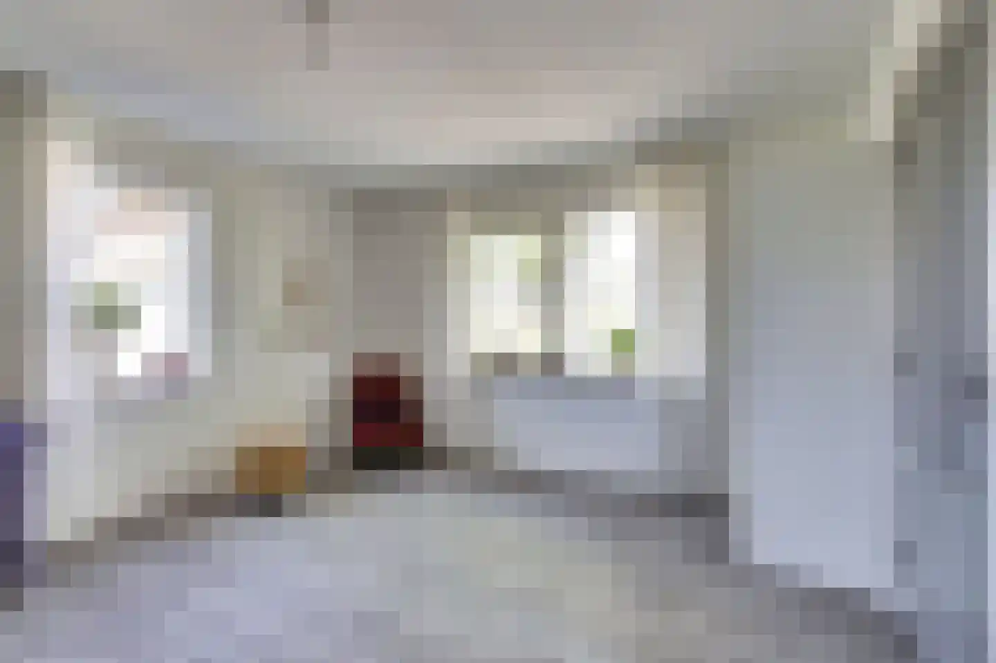 De Smeule 5 Nieuwleusen thumbnail 29