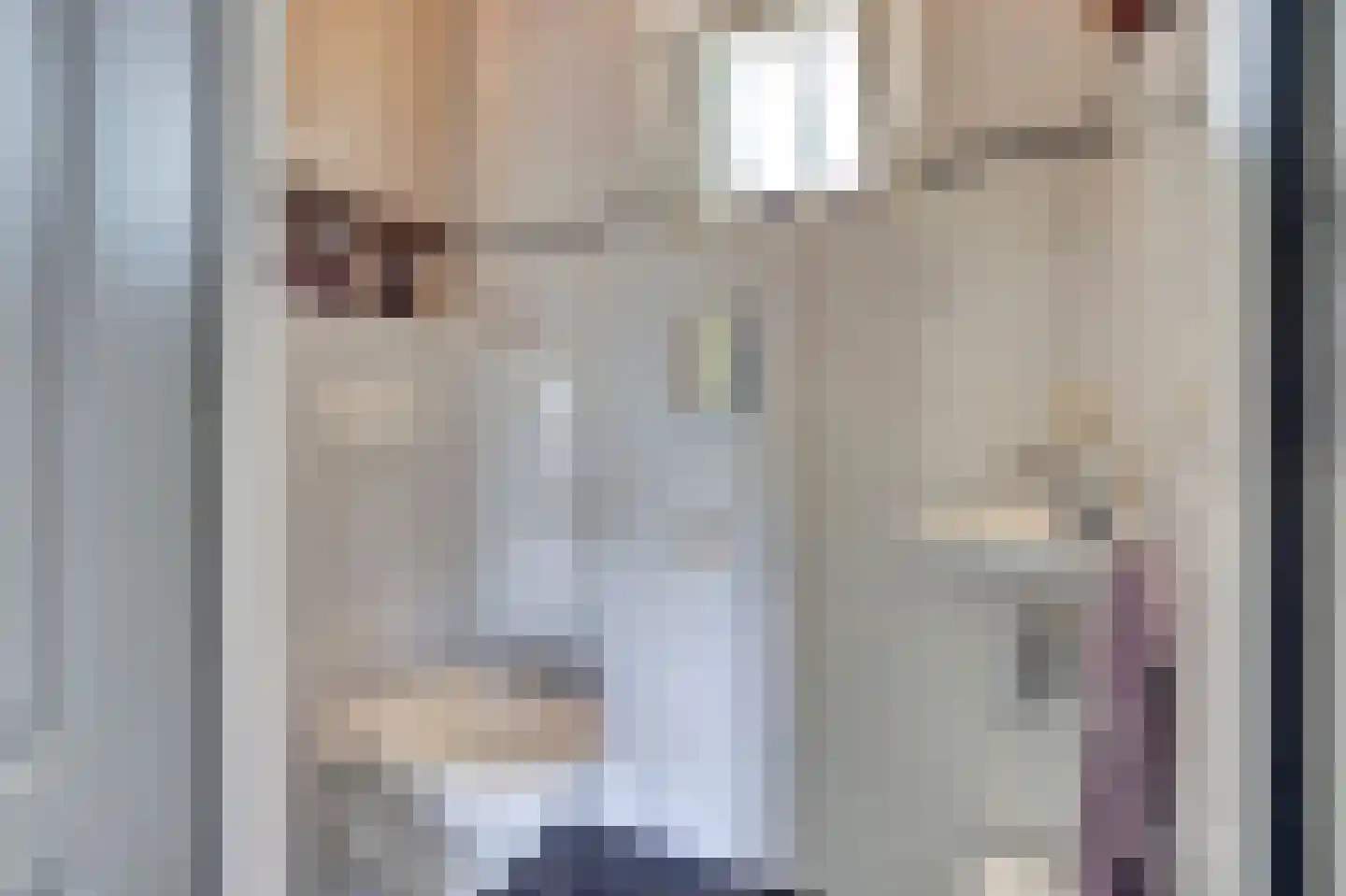 De Smeule 5 Nieuwleusen thumbnail 34
