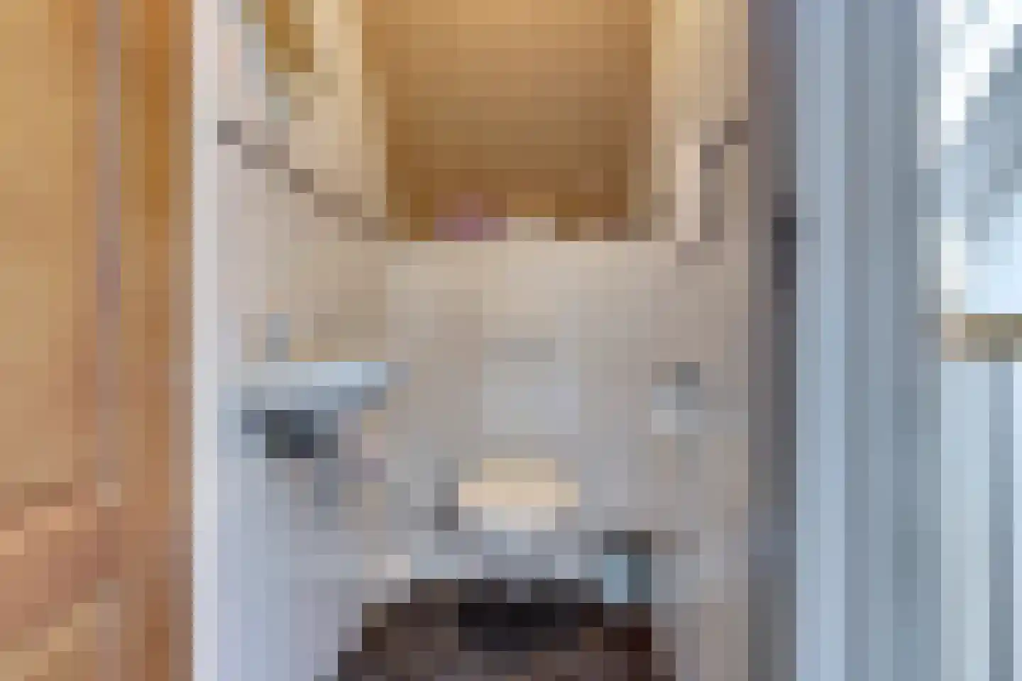 De Smeule 5 Nieuwleusen thumbnail 38