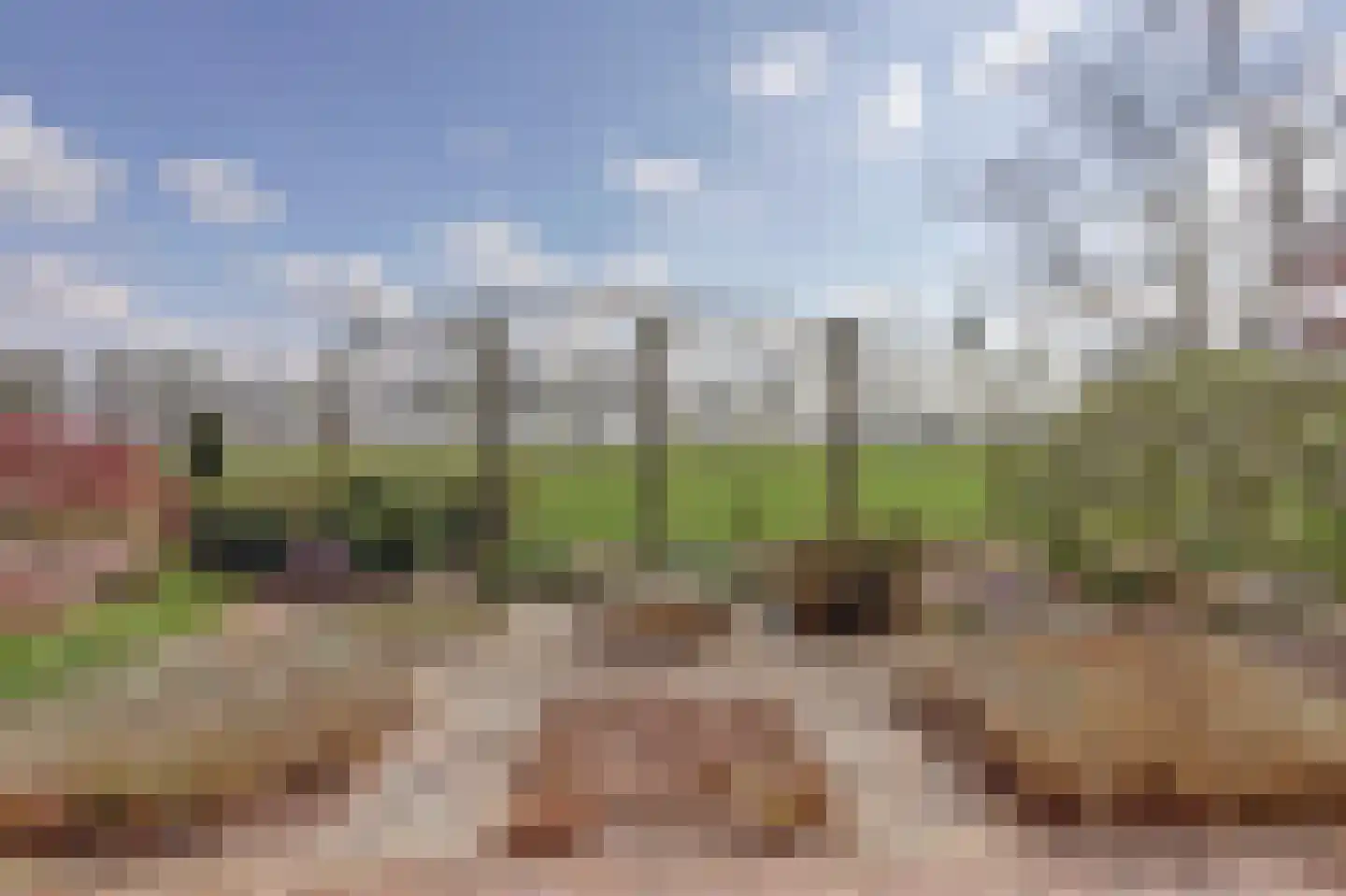 De Smeule 5 Nieuwleusen thumbnail 4