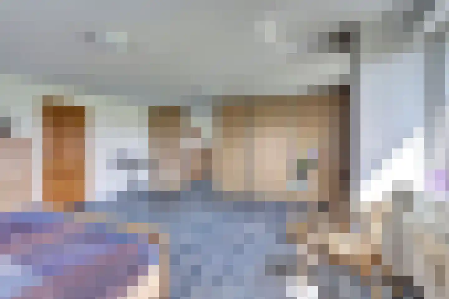De Smeule 5 Nieuwleusen thumbnail 41