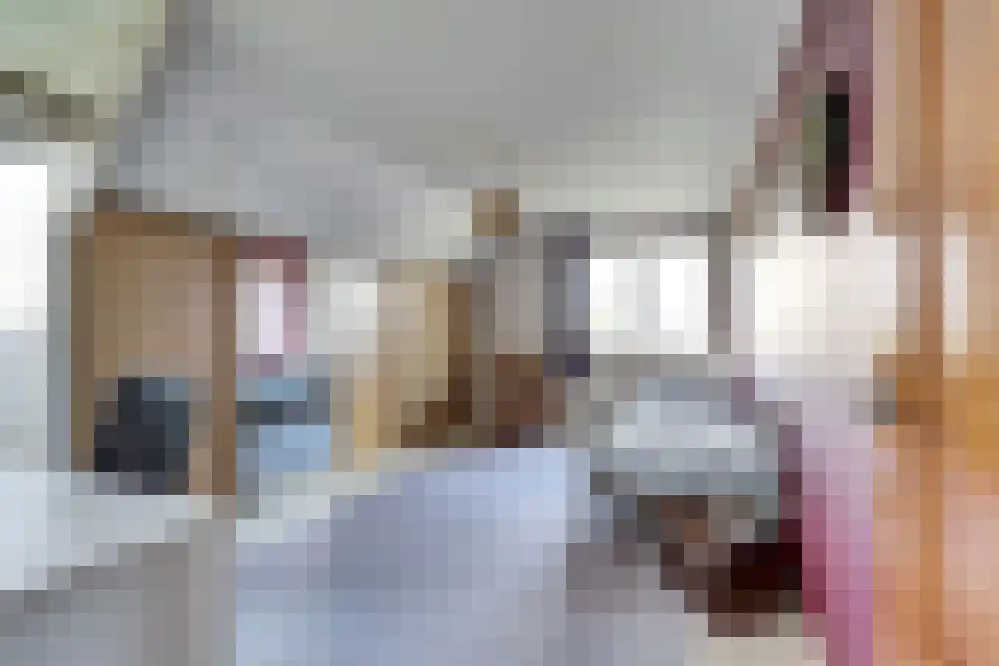De Smeule 5 Nieuwleusen thumbnail 42