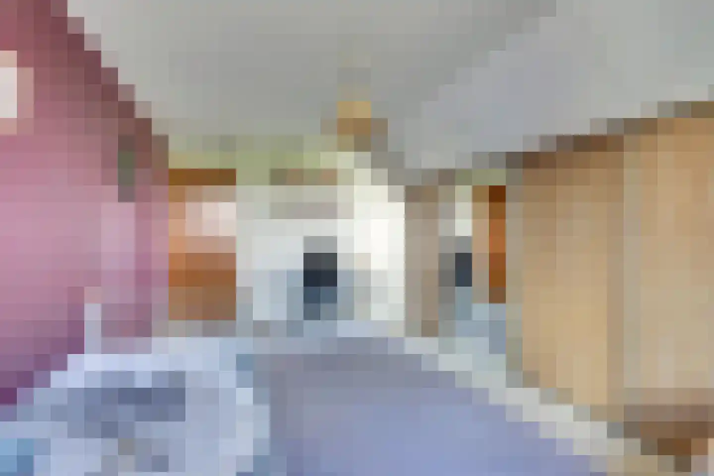 De Smeule 5 Nieuwleusen thumbnail 43