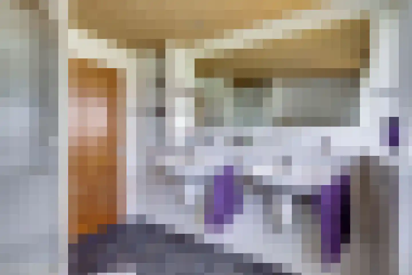 De Smeule 5 Nieuwleusen thumbnail 47