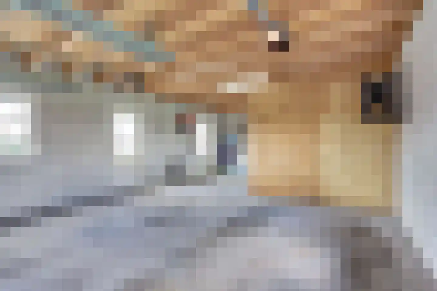 De Smeule 5 Nieuwleusen thumbnail 52