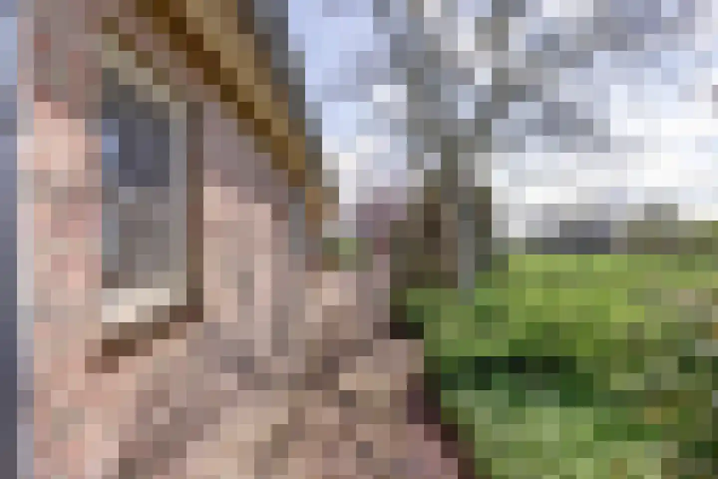 De Smeule 5 Nieuwleusen thumbnail 57