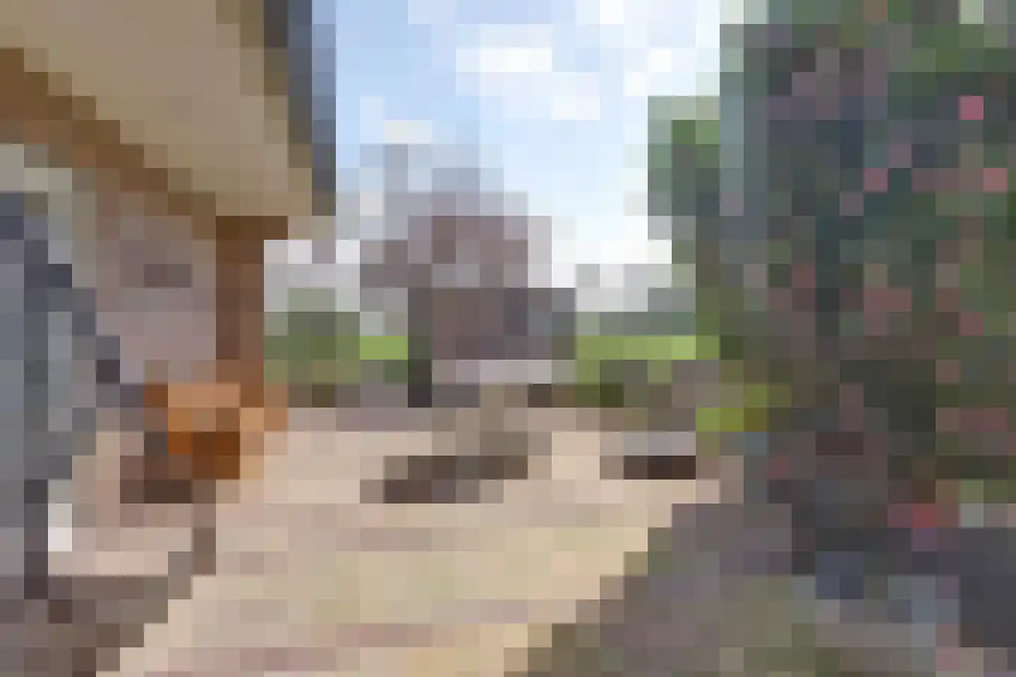 De Smeule 5 Nieuwleusen thumbnail 58
