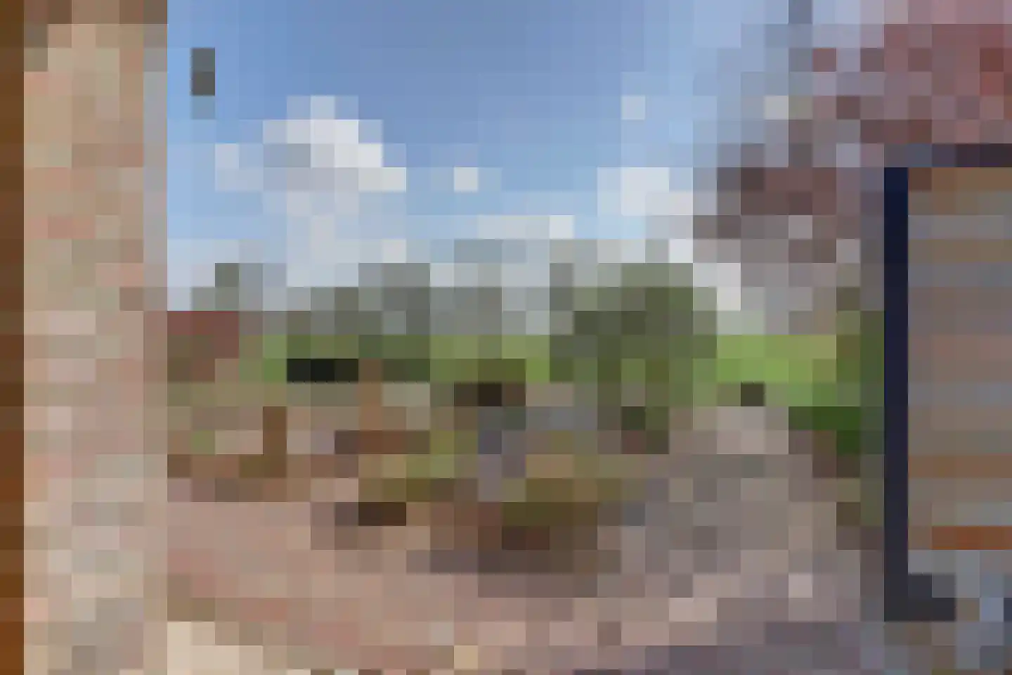 De Smeule 5 Nieuwleusen thumbnail 59