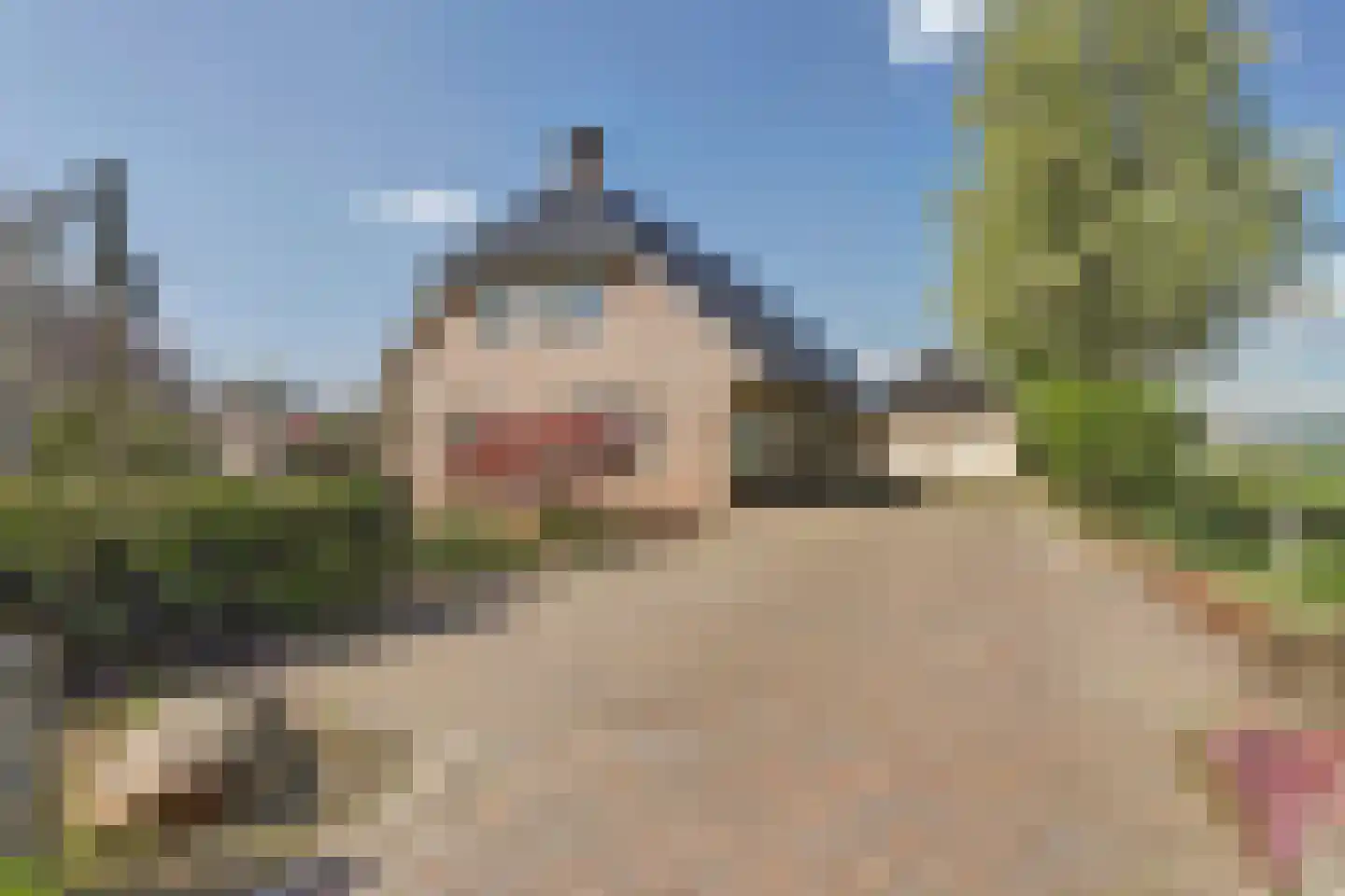 De Smeule 5 Nieuwleusen thumbnail 6