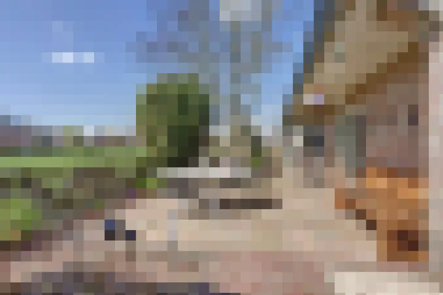 De Smeule 5 Nieuwleusen thumbnail 60