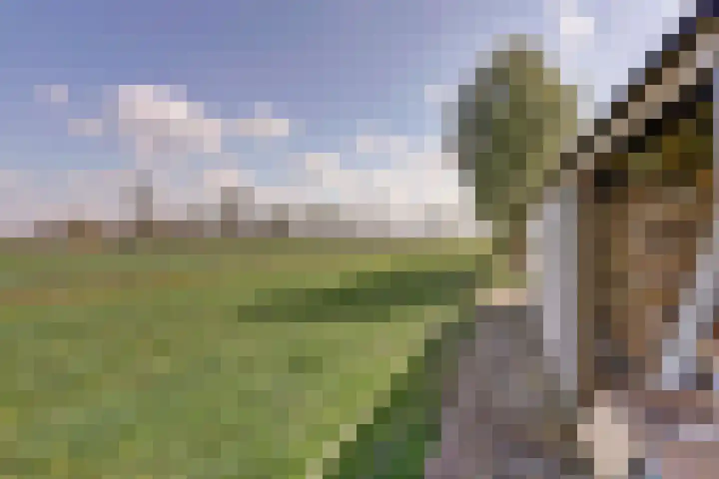 De Smeule 5 Nieuwleusen thumbnail 61