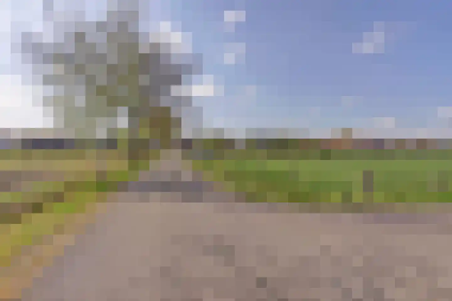 De Smeule 5 Nieuwleusen thumbnail 66