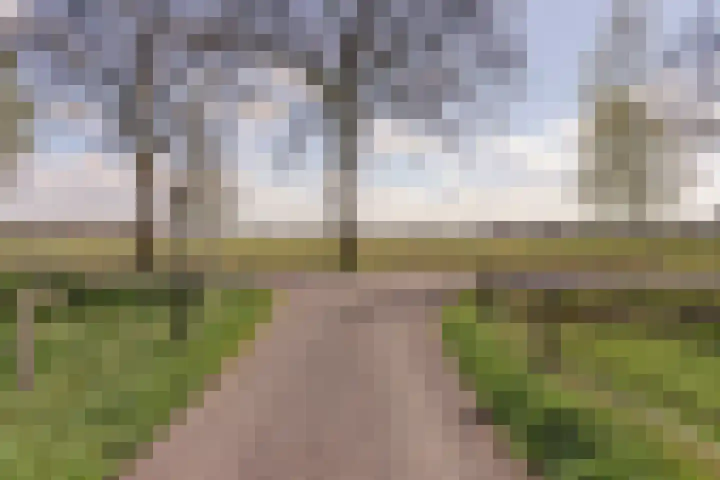 De Smeule 5 Nieuwleusen thumbnail 67