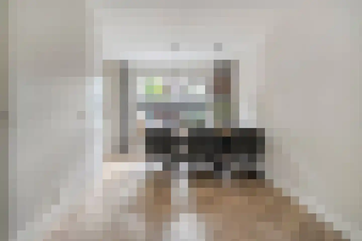 De Smidboer 17 Geesteren thumbnail 10