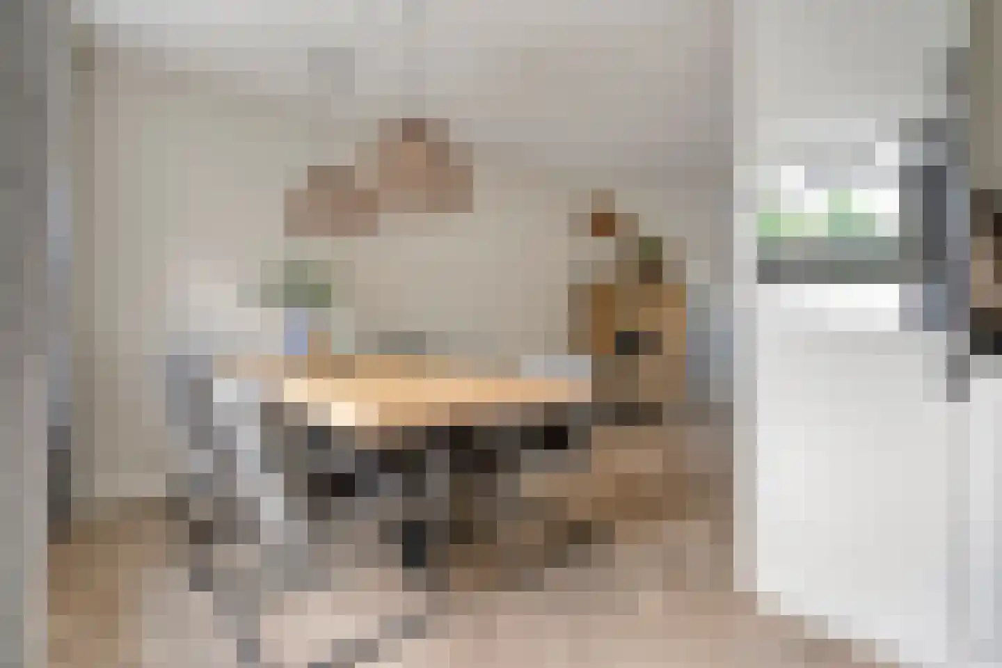 De Smidboer 17 Geesteren thumbnail 11
