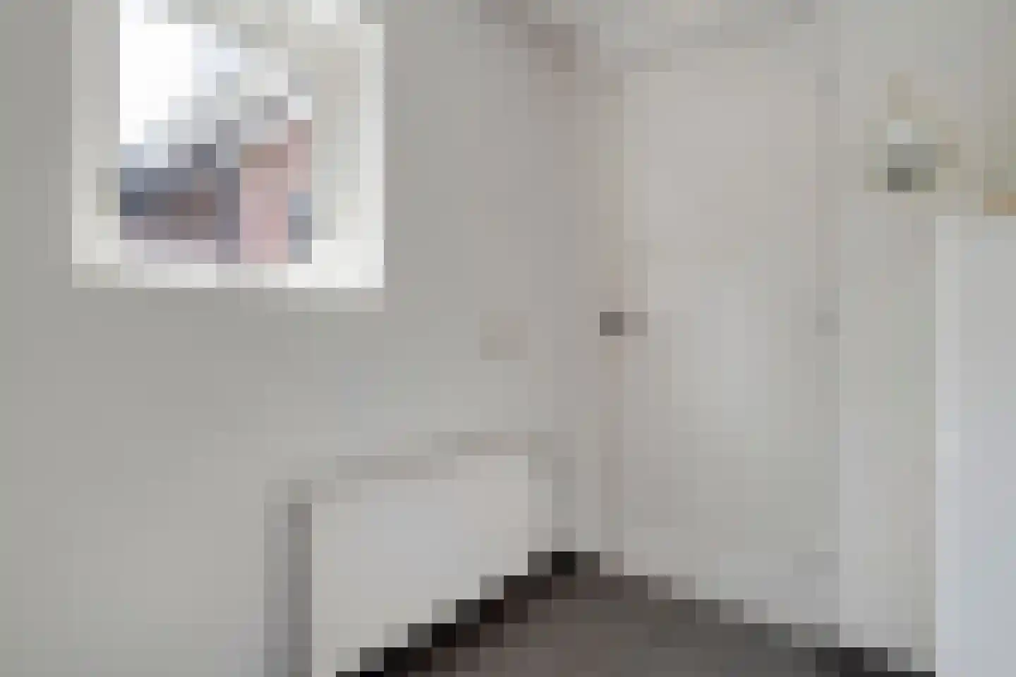 De Smidboer 17 Geesteren thumbnail 13