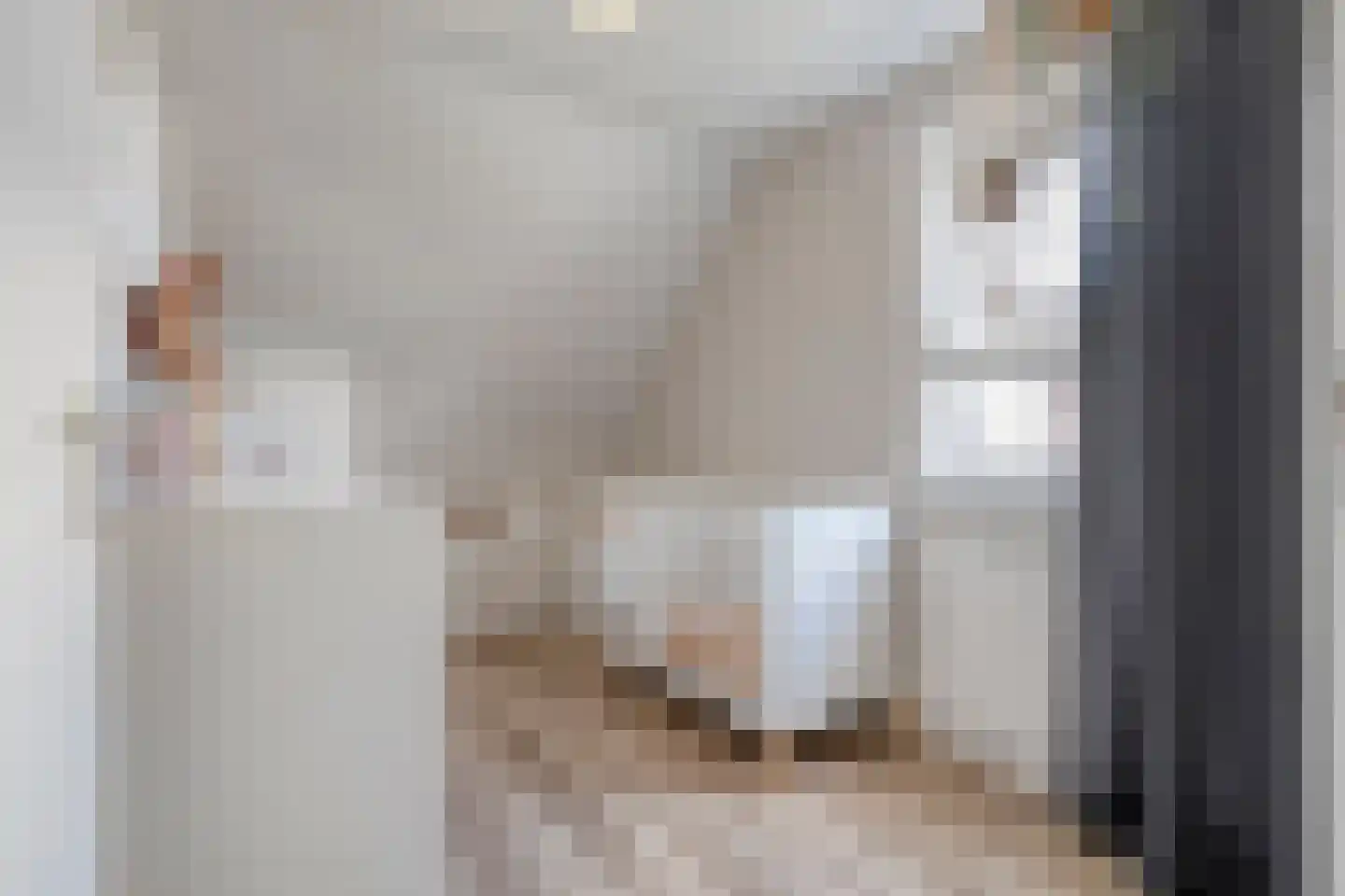 De Smidboer 17 Geesteren thumbnail 20