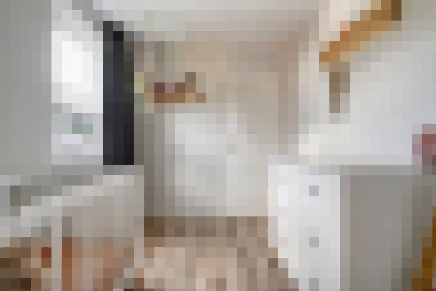 De Smidboer 17 Geesteren thumbnail 21