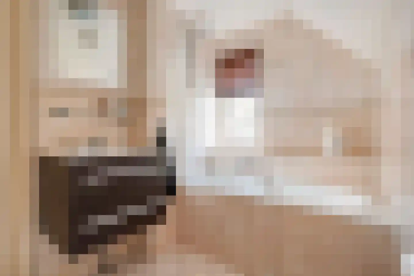 De Smidboer 17 Geesteren thumbnail 22