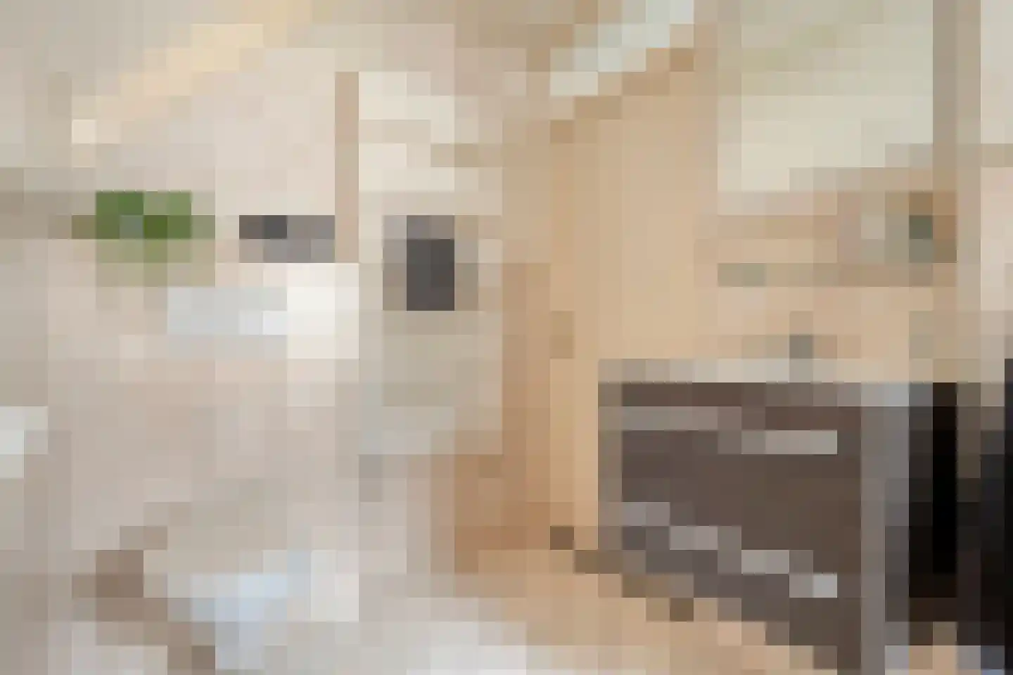De Smidboer 17 Geesteren thumbnail 23