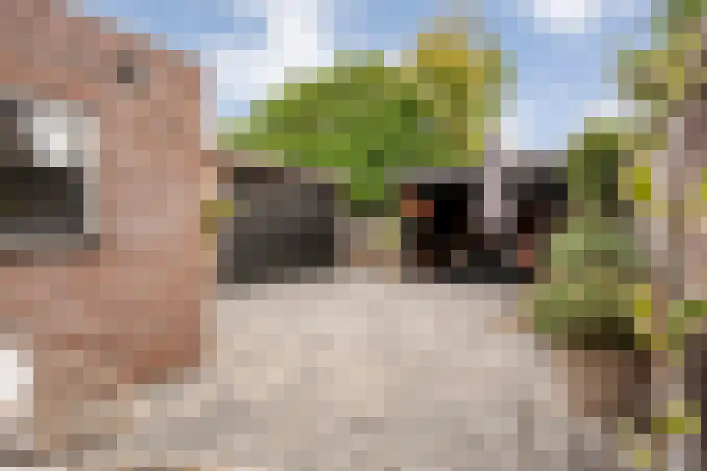 De Smidboer 17 Geesteren thumbnail 26