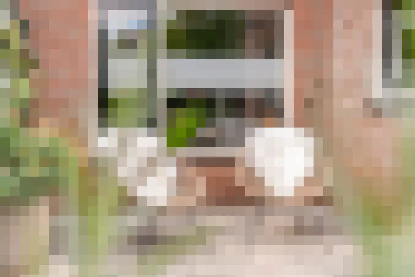 De Smidboer 17 Geesteren thumbnail 29