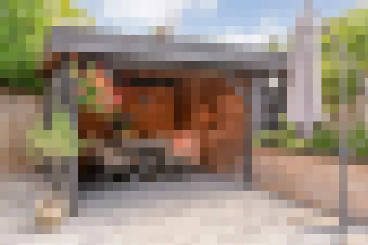De Smidboer 17 Geesteren thumbnail 30