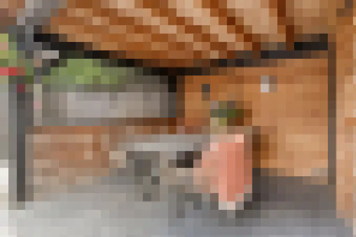 De Smidboer 17 Geesteren thumbnail 31