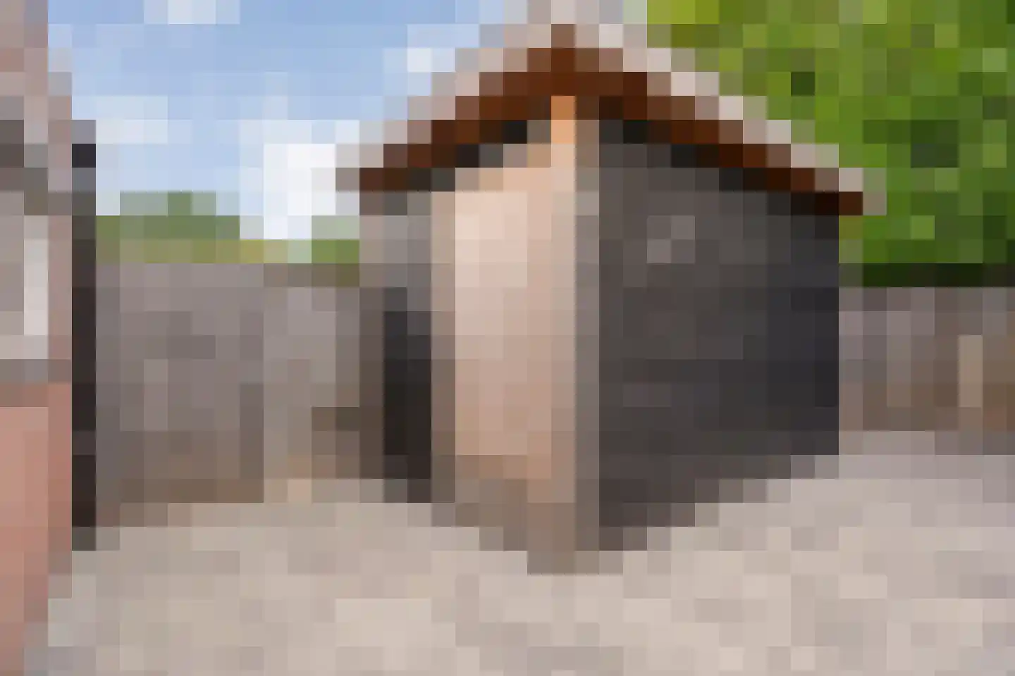De Smidboer 17 Geesteren thumbnail 33