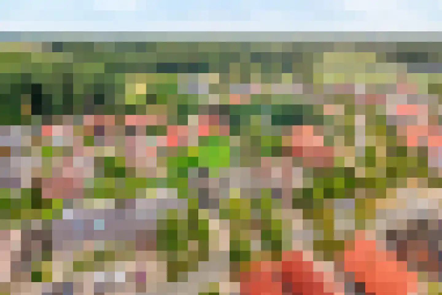 De Smidboer 17 Geesteren thumbnail 37