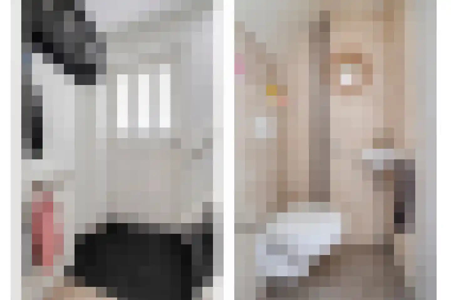 De Smidboer 17 Geesteren thumbnail 5