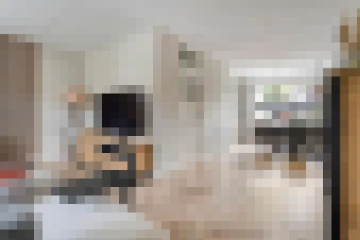 De Smidboer 17 Geesteren thumbnail 7