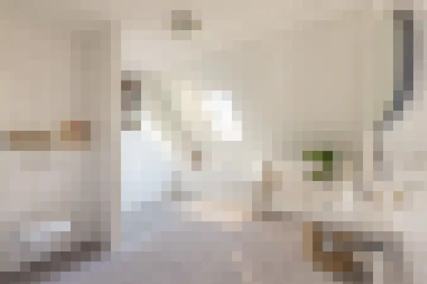 De Smidse 12 Ruurlo thumbnail 17