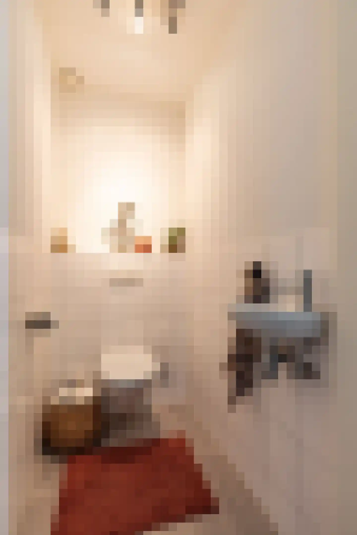 De Smidse 12 Ruurlo thumbnail 22
