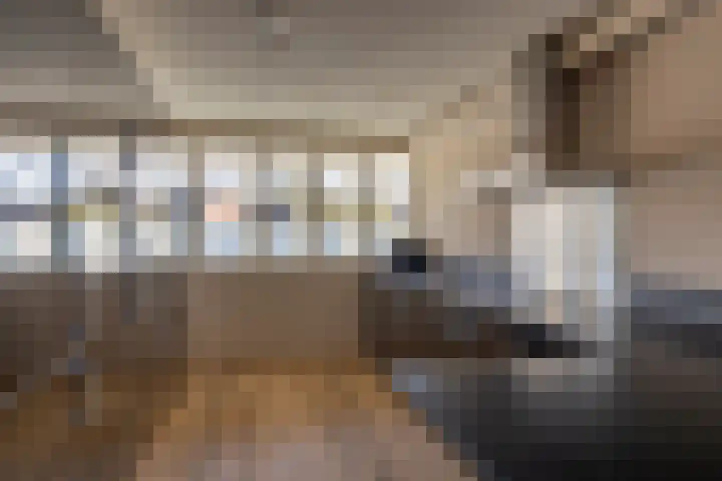 De Smidse 12 Ruurlo thumbnail 8