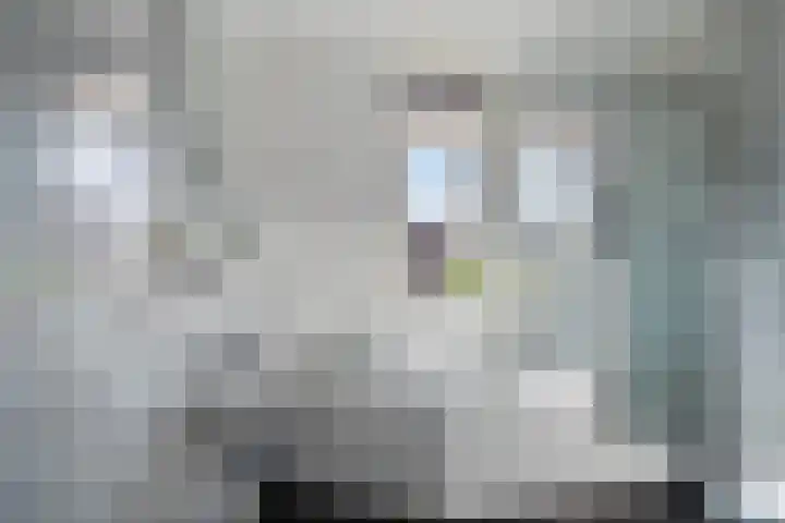 De Smidse 14 Rhoon thumbnail 16