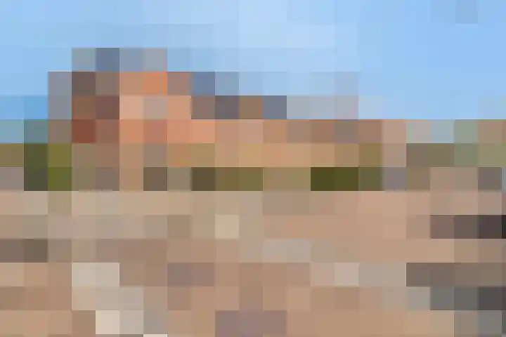 De Smidse 14 Rhoon thumbnail 25